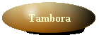 Tambora