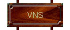 VNS